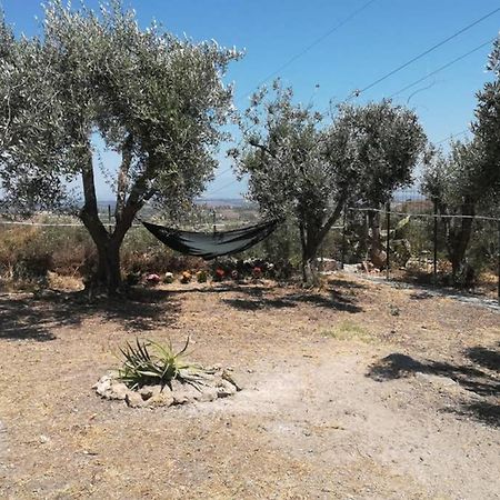 Villa Emma Con Panorama Etna A 10 Minuti Dal Mare Лентіні Екстер'єр фото